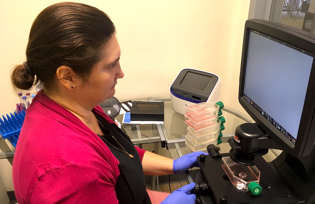Bench-to-Bedside Research